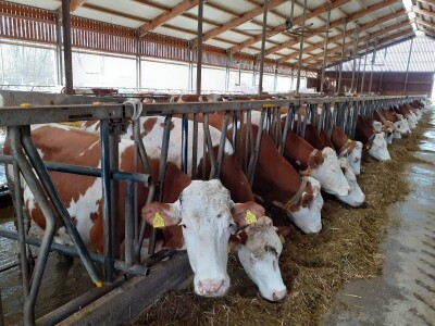 Digitalna poljoprivreda