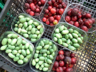 Digitalna poljoprivreda