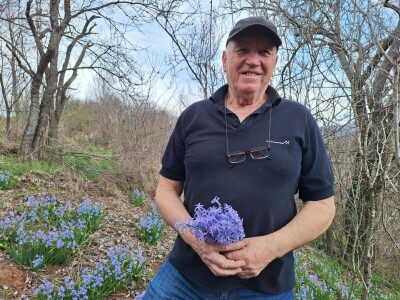 Dimitrijevići iz Taskovića imaju sopstveno brdo sa zumbulima