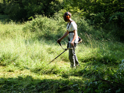 Dinara se vraća u život