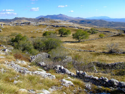 Dinara se vraća u život