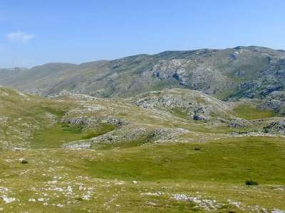 Dinara se vraća u život