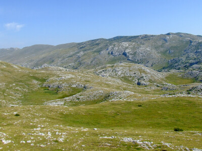 Dinara se vraća u život