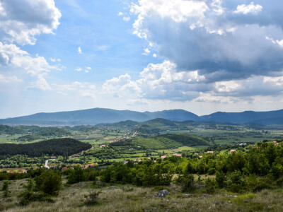 Dinara se vraća u život