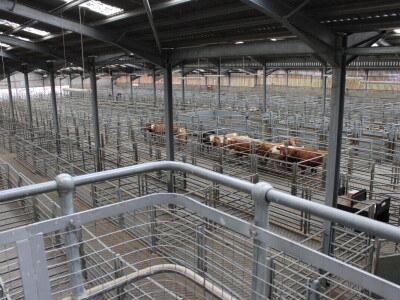 Dingwall & Highland Marts, Dingwall, Škotska