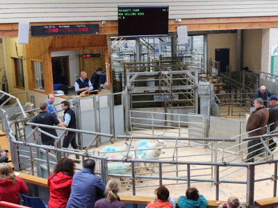 Dingwall & Highland Marts, Dingwall, Škotska