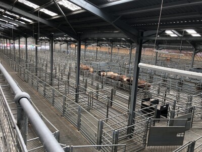 Dingwall & Highland Marts, Dingwall, Škotska