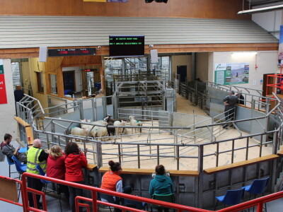 Dingwall & Highland Marts, Dingwall, Škotska