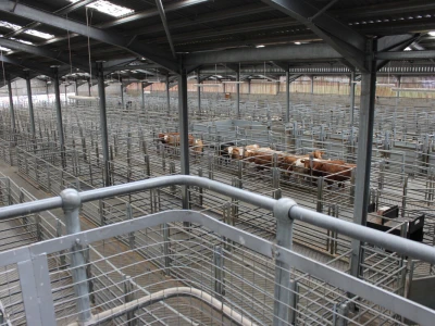 Dingwall & Highland Marts, Dingwall, Škotska