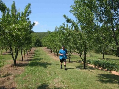 Dio trim staze u voćnjaku OPG Dražen Rančić Dio trim staze u voćnjaku OPG Dražen Rančić