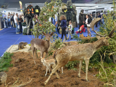 Sajam lova, ribolova prirode i turizma u Varaždinu