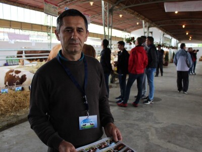 Disco - Najteži bik na sajmu