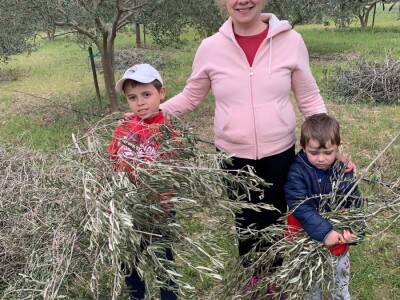 ISKUSTVO KAPETANA DUGE PLODVIDBE DARIA DISCORDIE: Talijanski lovci i psi mu harali po djedovini sve dok imanje nije kultivirao i na njemu posadio 350 stabala maslina!