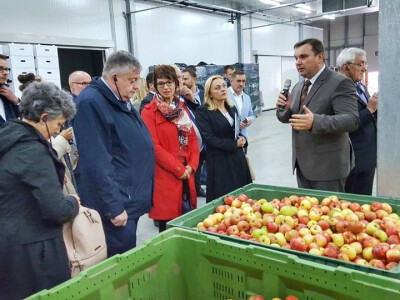 Hrvatsko voće odavde odlazi u trgovine