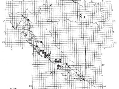 3 Distribucija D. innoxia u RH prema Pandža M. i Stančić Z. radu iz 1999