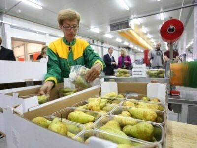 Distributivni centar za voće i povrće