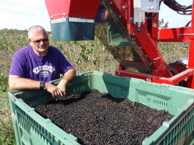 Distributivni centar za voće i povrće