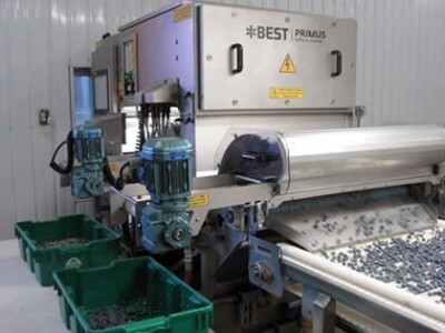 Distributivni centar za voće i povrće