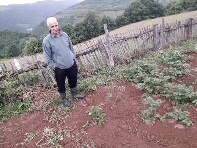 Divljač uništava usjeve, lov zabranjen, a uslovi za odštetu nerealni Divljač uništava usjeve, lov zabranjen, a uslovi za odštetu nerealni