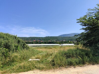 Divlje deponije uz poljoprivredne nasade u Stocu