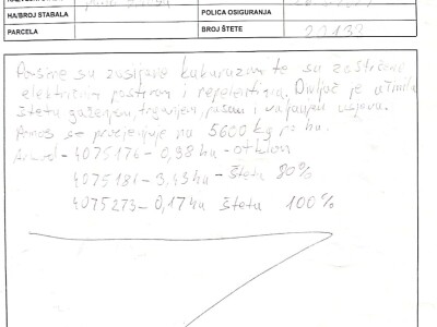 Divlje svinje pojele kukuruz Daria Abramovića