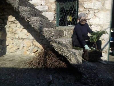 Divlje zelje - nasljeđe naših predaka Divlje zelje - nasljeđe naših predaka