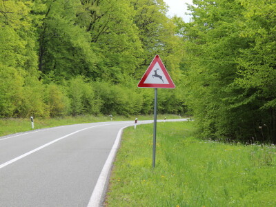 Divlje životinje na cesti