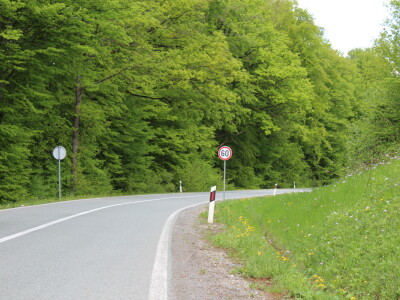 Divlje životinje na cesti