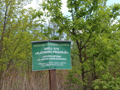 Divlje životinje na cesti