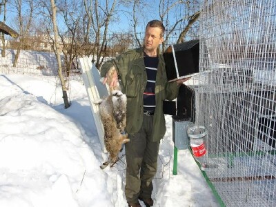 Divlji zečevi BZ Pauk-Čeka uginuli 2012.