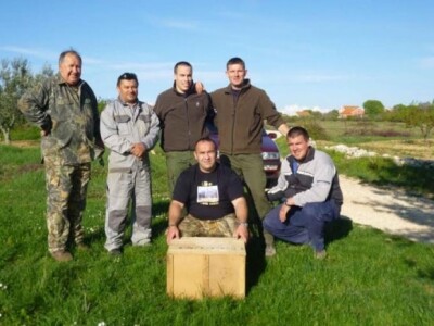 Divlji zečevi u kutiji s farme Petra Vrkljana Divlji zečevi u kutiji s farme Petra Vrkljana