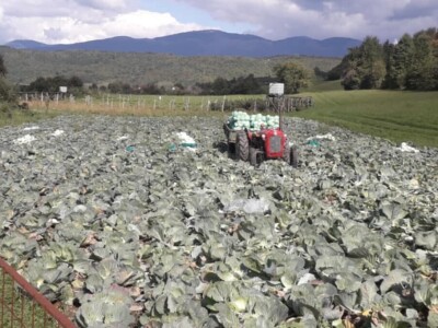 Djeca samostalnih malih poljoprivrednika ostala bez dodatka