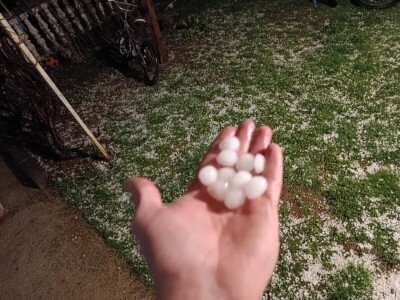 Djeca samostalnih malih poljoprivrednika ostala bez dodatka