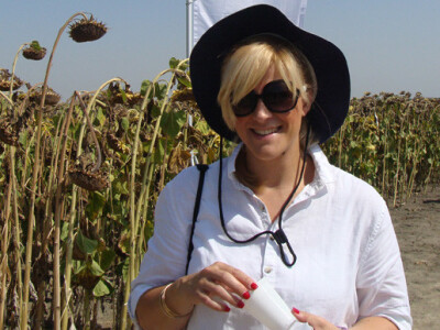 Dan polja suncokreta IPK Tvornice ulja Čepin