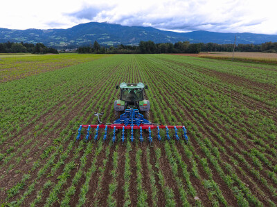 Hatzenbichler Hatzenbichler