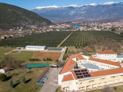 BERBA MASLINA U HERCEGOVINI