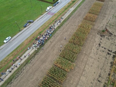 Dan polja BC kukuruza i sorata soje u Rugvici