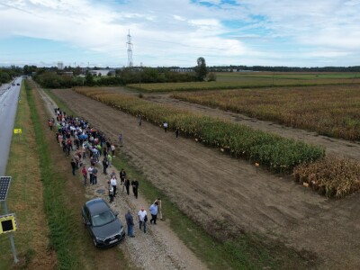 Dan polja BC kukuruza i sorata soje u Rugvici