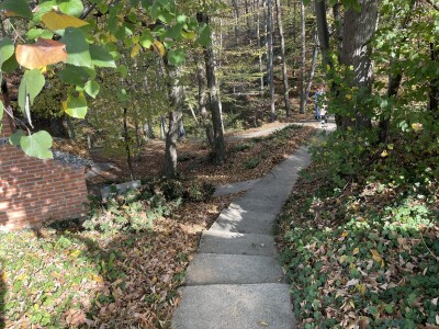 Magaraca ima puno više u Bosni, nego u Hercegovini