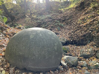 Magaraca ima puno više u Bosni, nego u Hercegovini