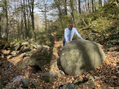 Magaraca ima puno više u Bosni, nego u Hercegovini