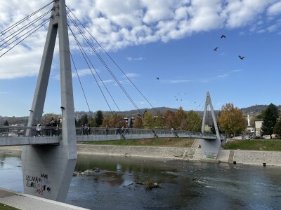 Magaraca ima puno više u Bosni, nego u Hercegovini