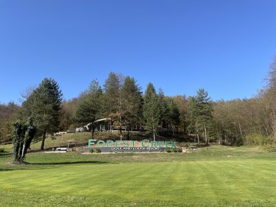 Magaraca ima puno više u Bosni, nego u Hercegovini