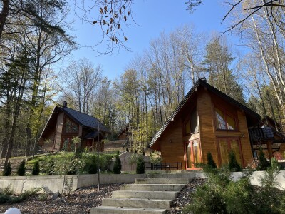 Magaraca ima puno više u Bosni, nego u Hercegovini