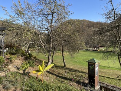 Magaraca ima puno više u Bosni, nego u Hercegovini