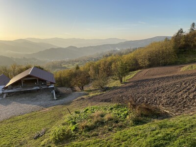 Magaraca ima puno više u Bosni, nego u Hercegovini