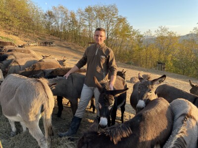 Magaraca ima puno više u Bosni, nego u Hercegovini