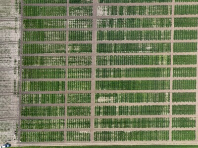 NET4DINAR Završnica