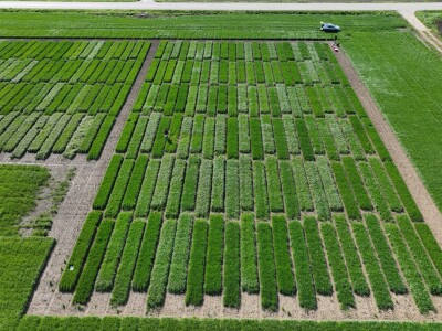 NET4DINAR Završnica