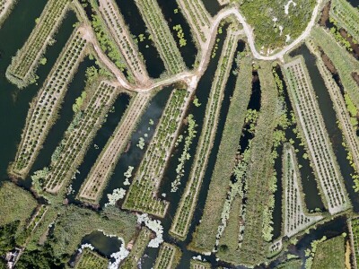 RuralFoto 2025 - TOP 10 fotografija u kategoriji #Proizvodnja